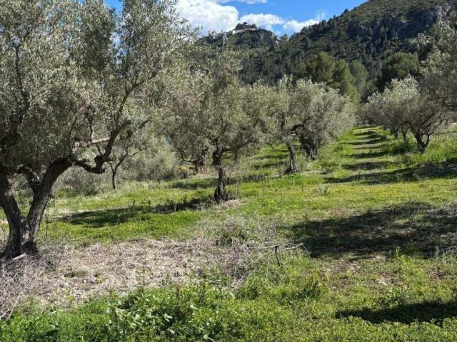Terreno en venta en la Marina Baixa, Valencia