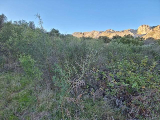 Terreno en venta en la Marina Baixa, Valencia