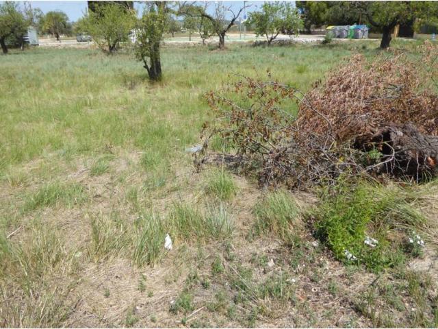 Terreno en venta en el Baix Maestrat, Valencia