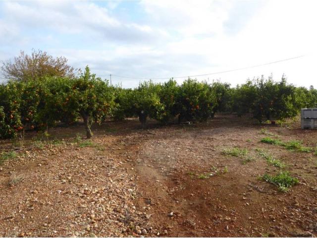 Terreno en venta en el Baix Maestrat, Valencia