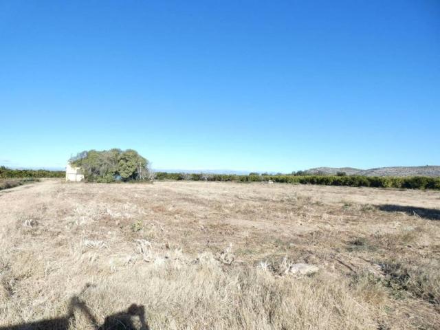 Terreno en venta en el Baix Maestrat, Valencia