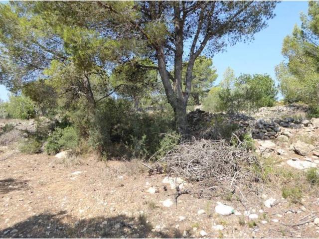Terreno en venta en el Baix Maestrat, Valencia