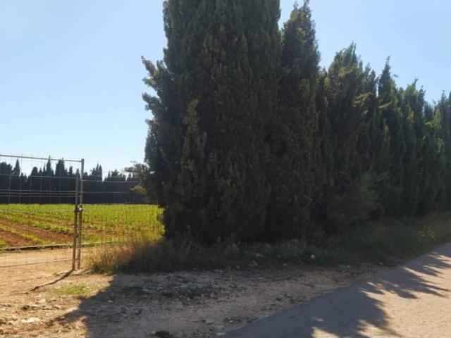 Terreno en venta en el Baix Maestrat, Valencia