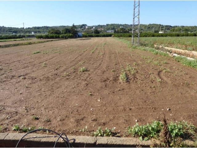 Terreno en venta en el Baix Maestrat, Valencia