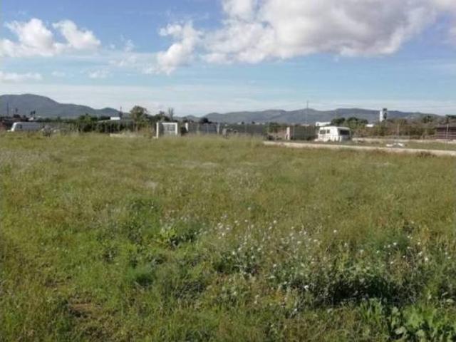 Terreno en venta en el Baix Maestrat, Valencia