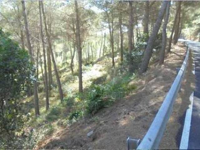 Terreno en venta en Desert de les Palmes, la Plana Alta