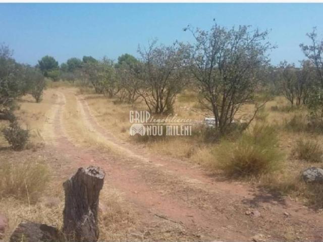 Terreno en venta en Castelló de la Plana / Castellón de la Plana, Castelló / Castellón