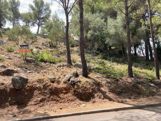 Terreno en venta en Urbanització Les Palmes, la Plana Alta