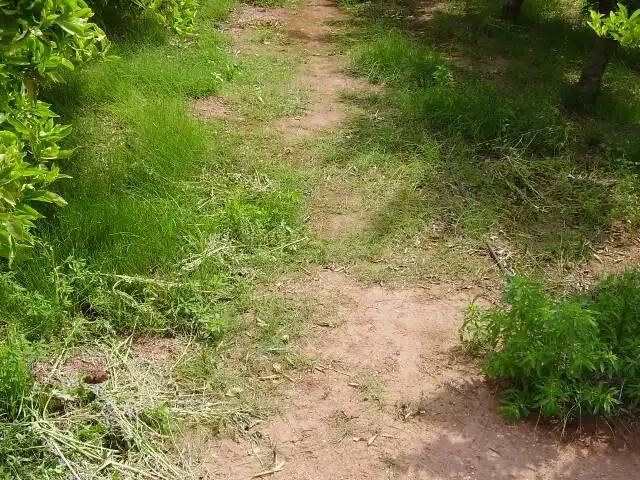 Terreno en venta en Benicàssim / Benicasim, Castelló / Castellón