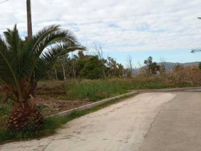 Terreno en venta en la Plana Alta, Valencia
