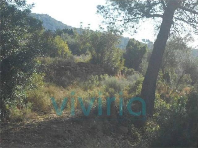Terreno en venta en la Plana Alta, Valencia