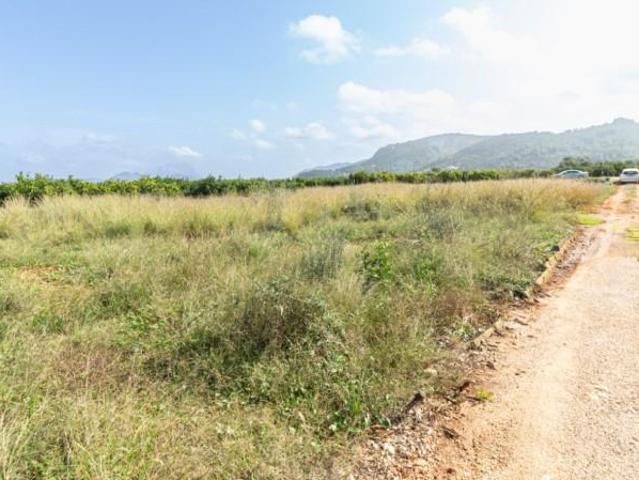Terreno en venta en Benidoleig