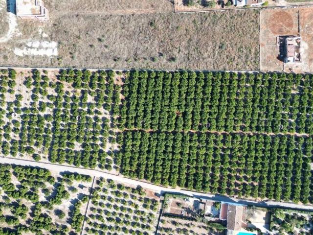 Terreno en venta en Benidoleig