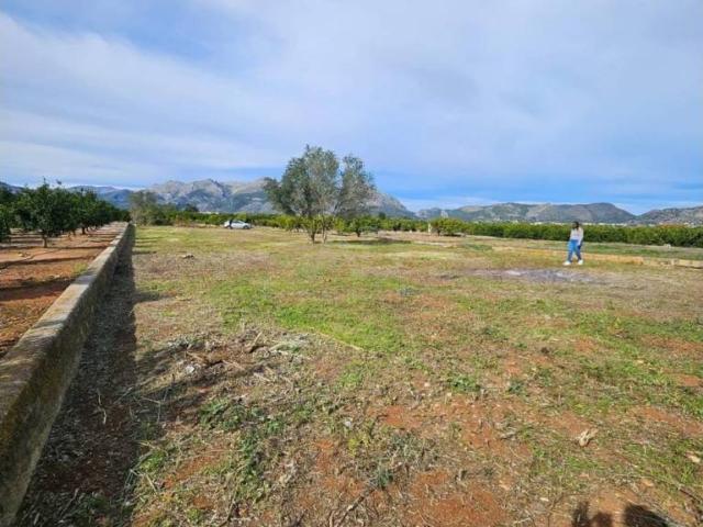 Terreno en venta en la Marina Alta, Valencia