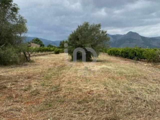 Terreno en venta en Benidoleig