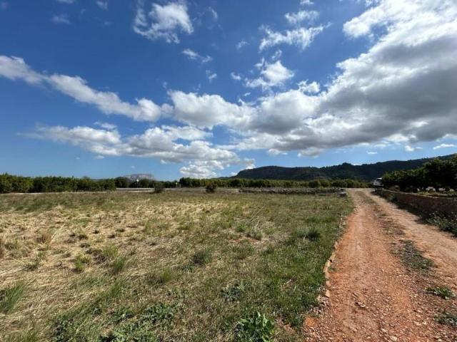 Terreno en venta en Benidoleig