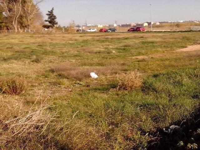 Terreno en venta en la Ribera Alta, Valencia