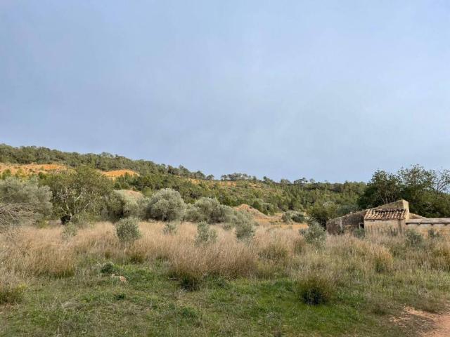 Terreno en venta en Baix Ebre, Catalunya