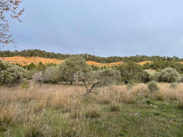 Terreno en venta en Benifallet, Tarragona