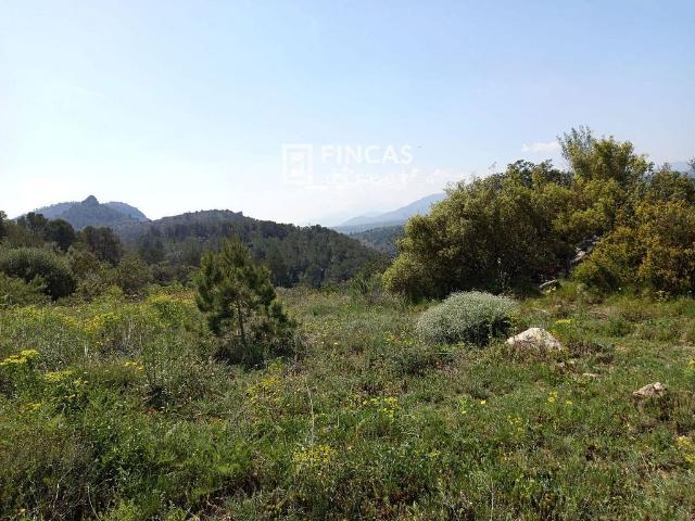 Terreno en venta en Baix Ebre, Catalunya