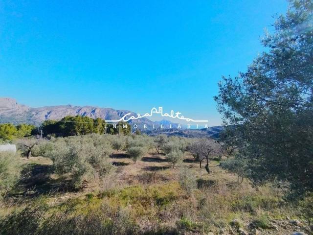 Terreno en venta en la Marina Baixa, Valencia