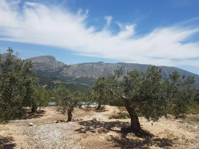 Terreno en venta en la Marina Baixa, Valencia