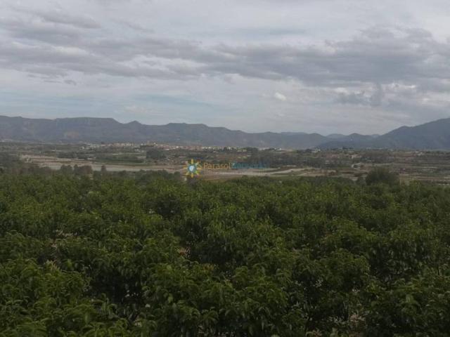 Terreno en venta en la Vall d'Albaida, Valencia