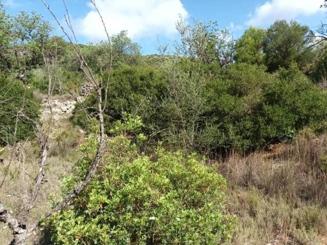 Terreno en venta en la Vall d'Albaida, Valencia