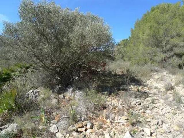 Terreno en venta en la Marina Alta, Valencia