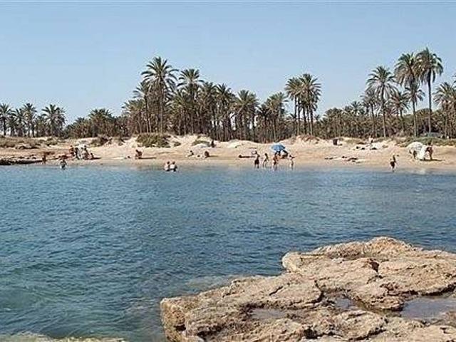 Terreno en venta en Benijófar