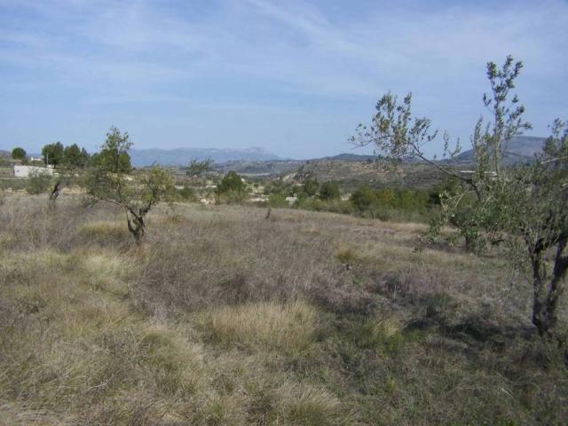Terreno en venta en el Comtat, Valencia