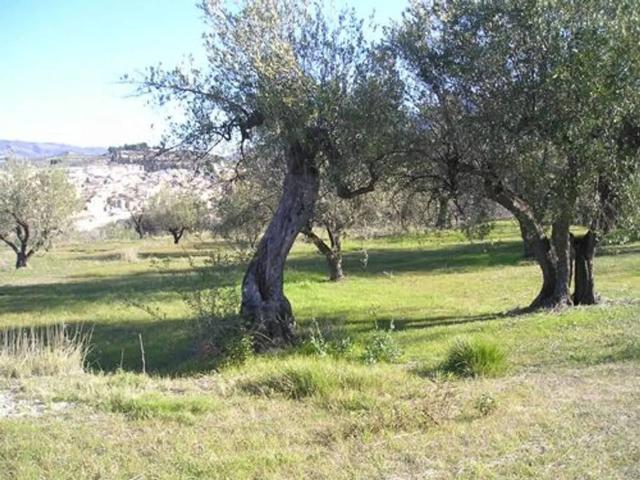 Terreno en venta en Benilloba