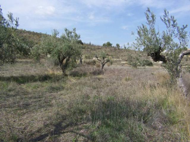 Terreno en venta en el Comtat, Valencia