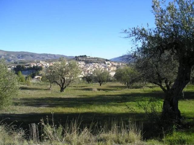 Terreno en venta en el Comtat, Valencia