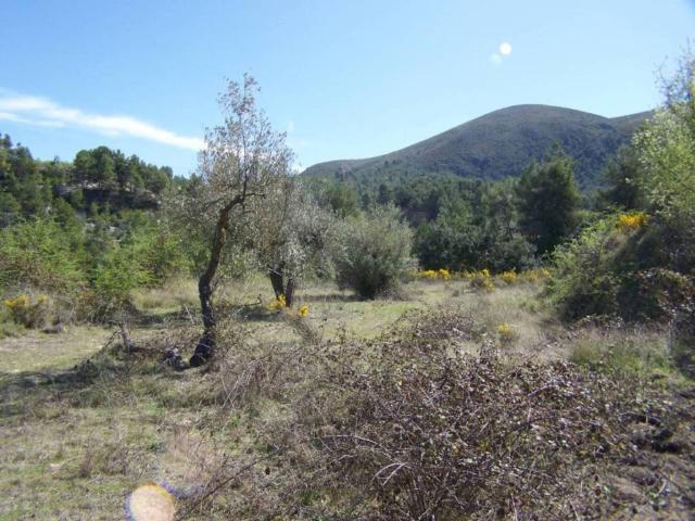 Terreno en venta en el Comtat, Valencia