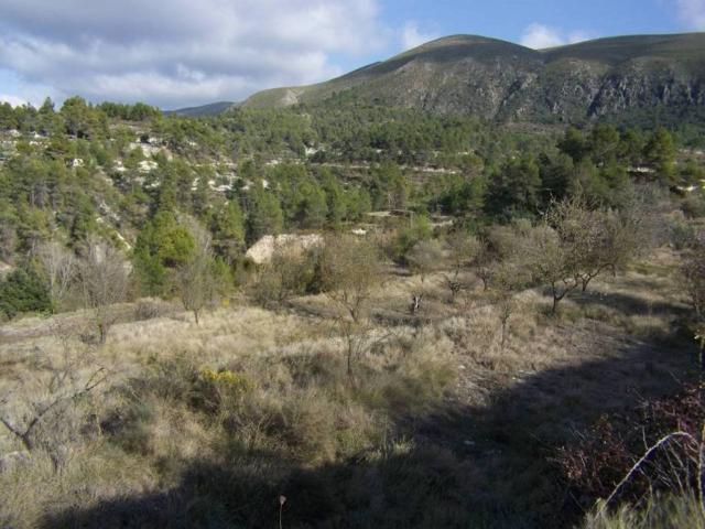 Terreno en venta en el Comtat, Valencia