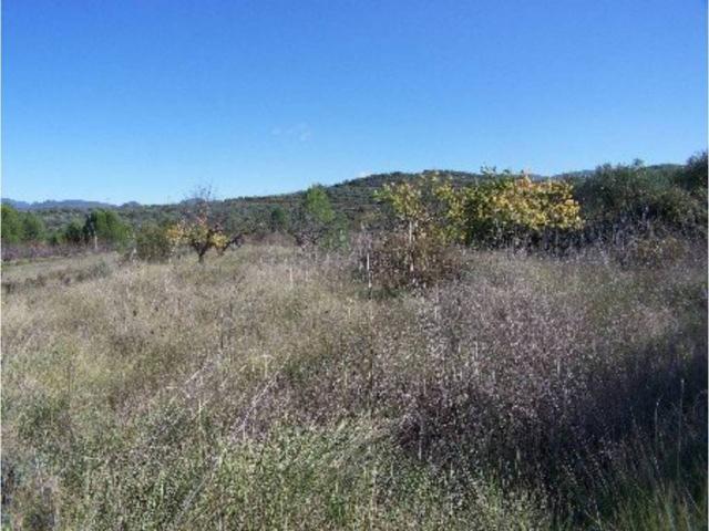 Terreno en venta en el Comtat, Valencia