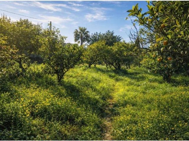 Terreno en venta en la Marina Alta, Valencia