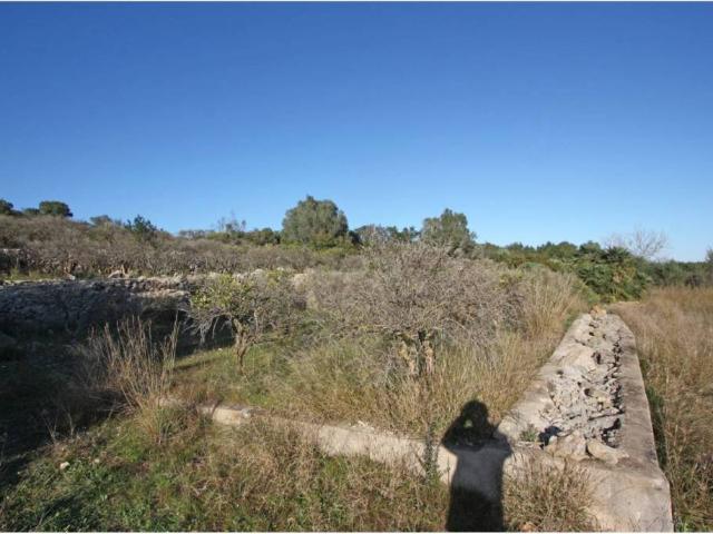 Terreno en venta en la Marina Alta, Valencia