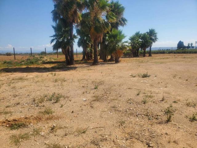 Terreno en venta en la Ribera Alta, Valencia