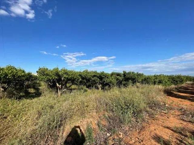 Terreno en venta en la Ribera Alta, Valencia