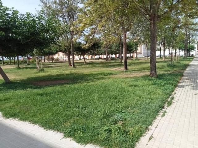 Terreno en venta en la Ribera Alta, Valencia