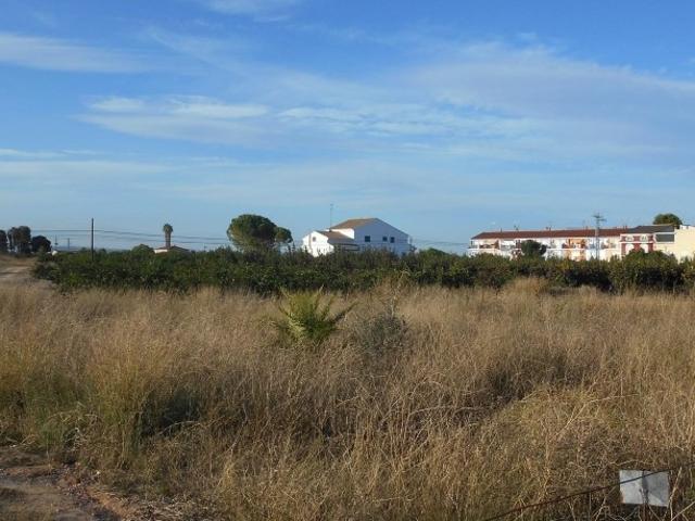Terreno en venta en la Ribera Alta, Valencia