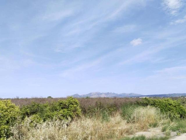 Terreno en venta en la Ribera Alta, Valencia