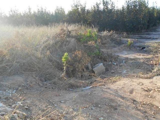 Terreno en venta en la Ribera Alta, Valencia