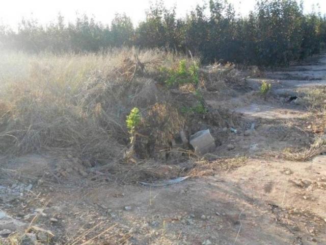 Terreno en venta en la Ribera Alta, Valencia