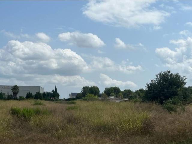 Terreno en venta en la Ribera Alta, Valencia