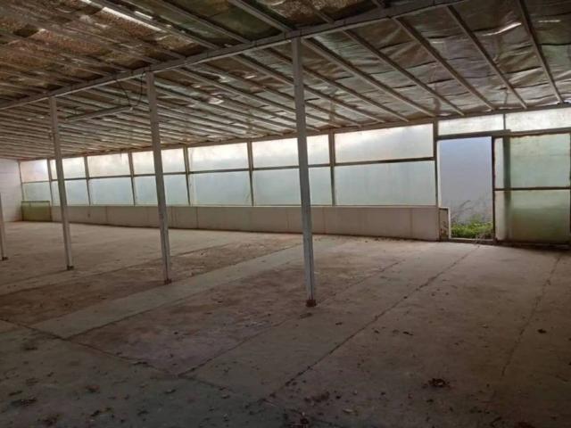 Terreno en venta en la Safor, Valencia