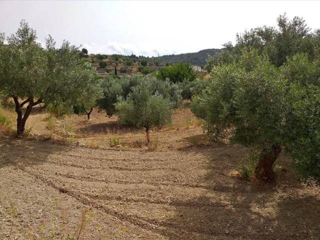 Terreno en venta en Benissa