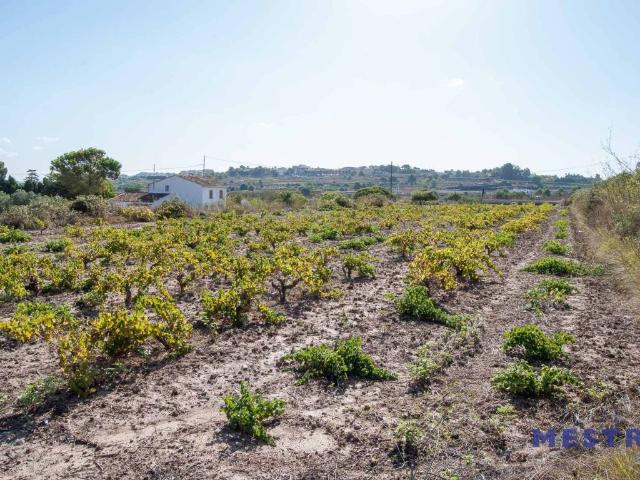 Terreno en venta en la Marina Alta, Valencia